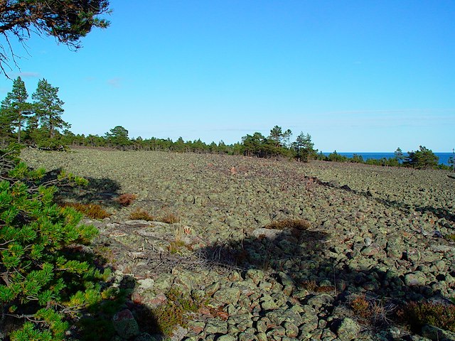 DSC00715