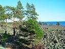 Naturreservatet vid Norrfällsvikens södra udde