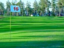 Golfbanan stugorna i bakgrunden