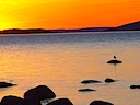 Soluppgång i Norrfällsviken