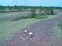 Naturreservatet vid Norrfällsvikens södra udde