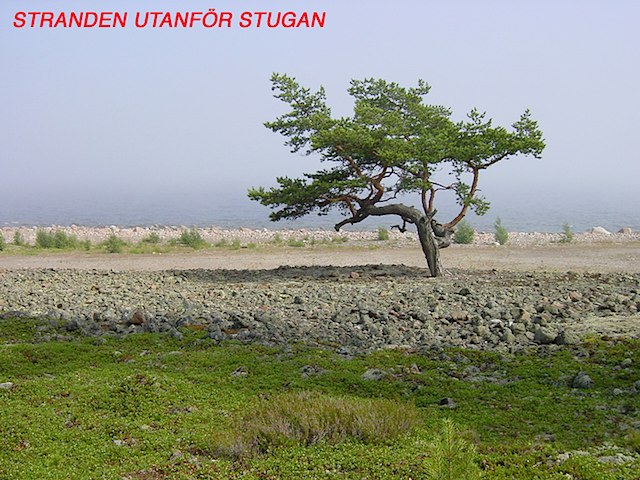 Stranden
